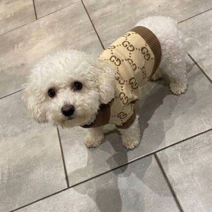 Beige Pawcci Bichon Frise Sweater
