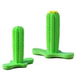 Bichon Cactus Interactive Chew Toy