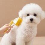 Bichon Frise Bathing Brush
