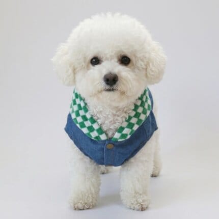 Bichon Frise Denim Jacket