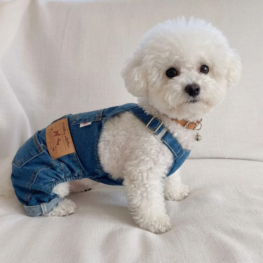 Bichon Frise Denim Overalls