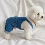 Bichon Frise Denim Overalls