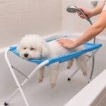 Bichon Frise Grooming Hammock Stand