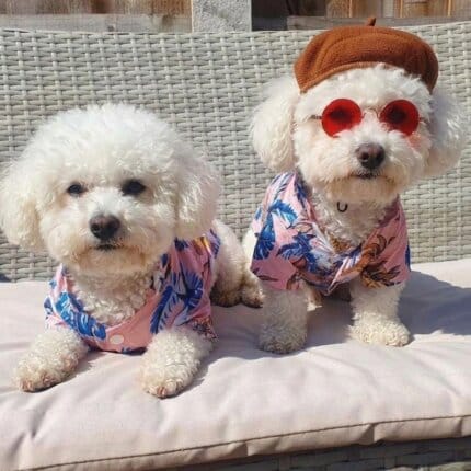Bichon Frise Hawaiian Shirt