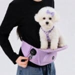 Bichon Frise Lookout Carrier