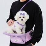 Bichon Frise Lookout Carrier
