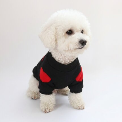 Bichon Frise Love Patch Sweatshirt