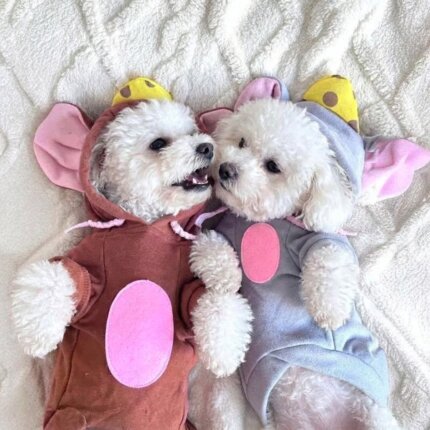 Bichon Frise Mouse Costume