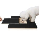 Bichon Frise Nail Grooming Board