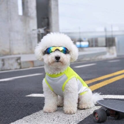 Bichon Frise Outdoor Reflective Vest