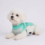 Bichon Frise Outdoor Reflective Vest