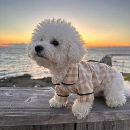 Bichon Frise Plaid Dog Shirt