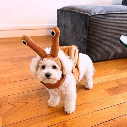 Bichon Frise Snail Dog Costume