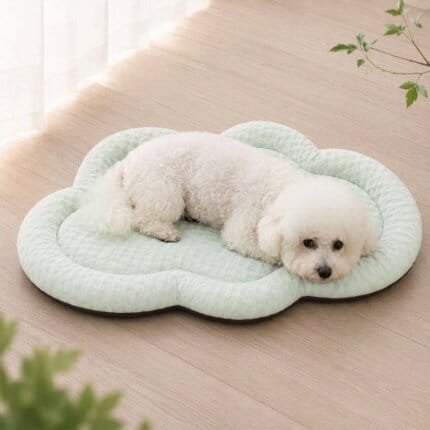 Bichon Frise Space CoolCloud Mat