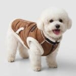 Bichon Frise Space CozyTrail Vest