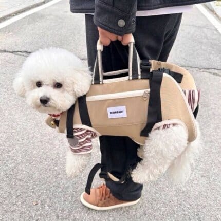 Bichon Frise Space DuoCarry Carrier