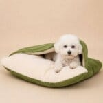 Bichon Frise Space SleepNest Bag