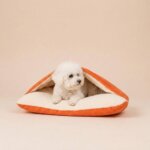 Bichon Frise Space SleepNest Bag