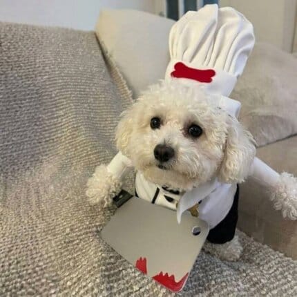 Bichon Master Chef Costume