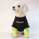 Bichon Streetwear Hoodie