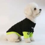 Bichon Streetwear Hoodie