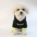 Bichon Streetwear Hoodie
