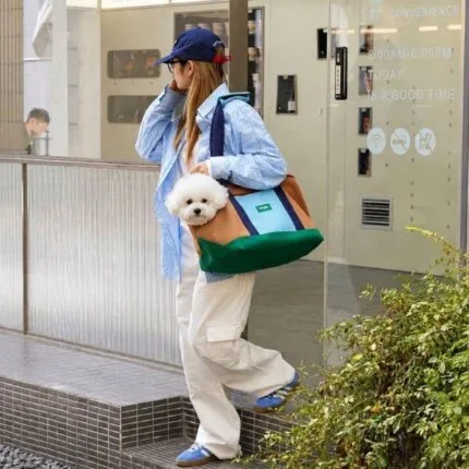 BichonGo Bichon Frise Carrier