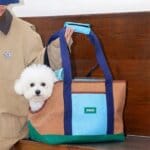 BichonGo Bichon Frise Carrier