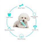 Bone Toothbrush Bichon Toy