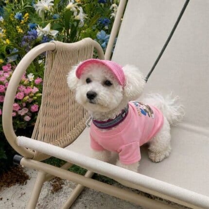 Breathable Mesh Bichon Frise Sun Hat
