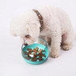 Capsule Bichon Frise Bowl