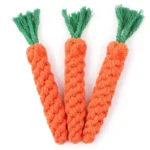 Carrot Bichon Toy