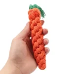 Carrot Bichon Toy