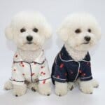 Cherry Satin Bichon Pajamas