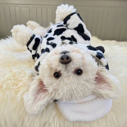 Cow Bichon Frise Costume