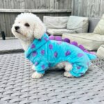 Dino Bichon Costume
