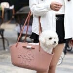 O-Bichon Frise Carrier