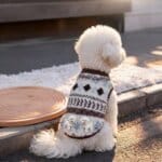 TraditionalVibes Bichon Frise Sweater