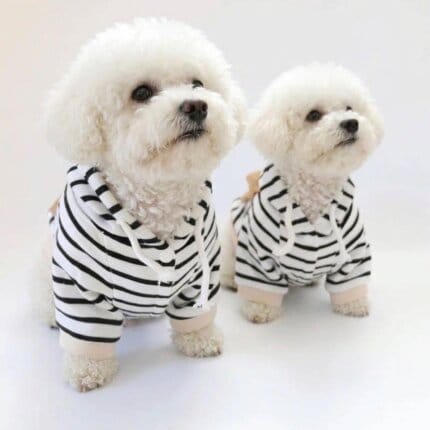 Fleece-Lined Bichon Frise Hoodie