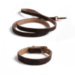 Floral Leather Collar & Leash