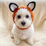 Fox Bichon Frise Halloween Hat
