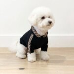 Furendi Bichon Frise Hoodie