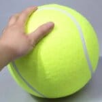 Giant Bichon Frise Ball Toy