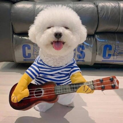 Guitar Player Bichon Frise Costume