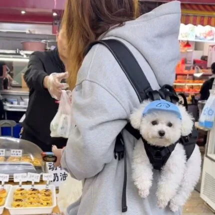 Hands-Free Shoulder Bichon Carrier