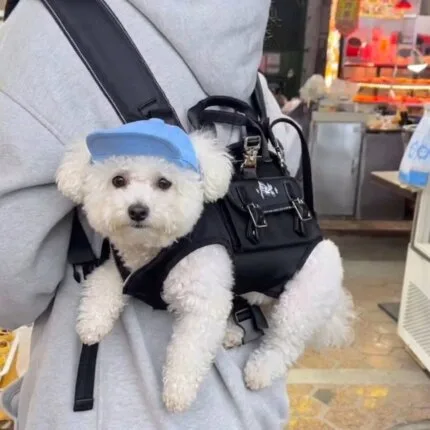 Hands-Free Shoulder Bichon Carrier
