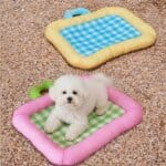 IceCool Bichon Frise Mat