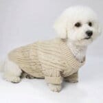 Knit Bichon Frise Jumper