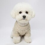 Knit Bichon Frise Jumper