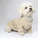 Knit Bichon Frise Jumper